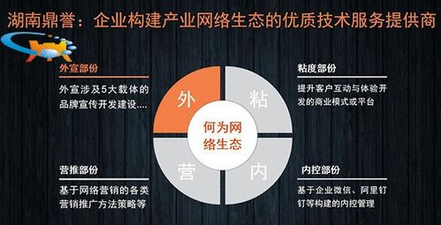 二十年網絡營銷實戰專家談 國內企業網絡營銷推廣的“道、法、術”